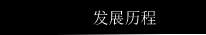 发展历程